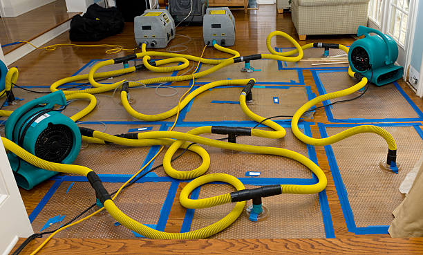 Professional Water Damage Repair technician working in Osceola, WI